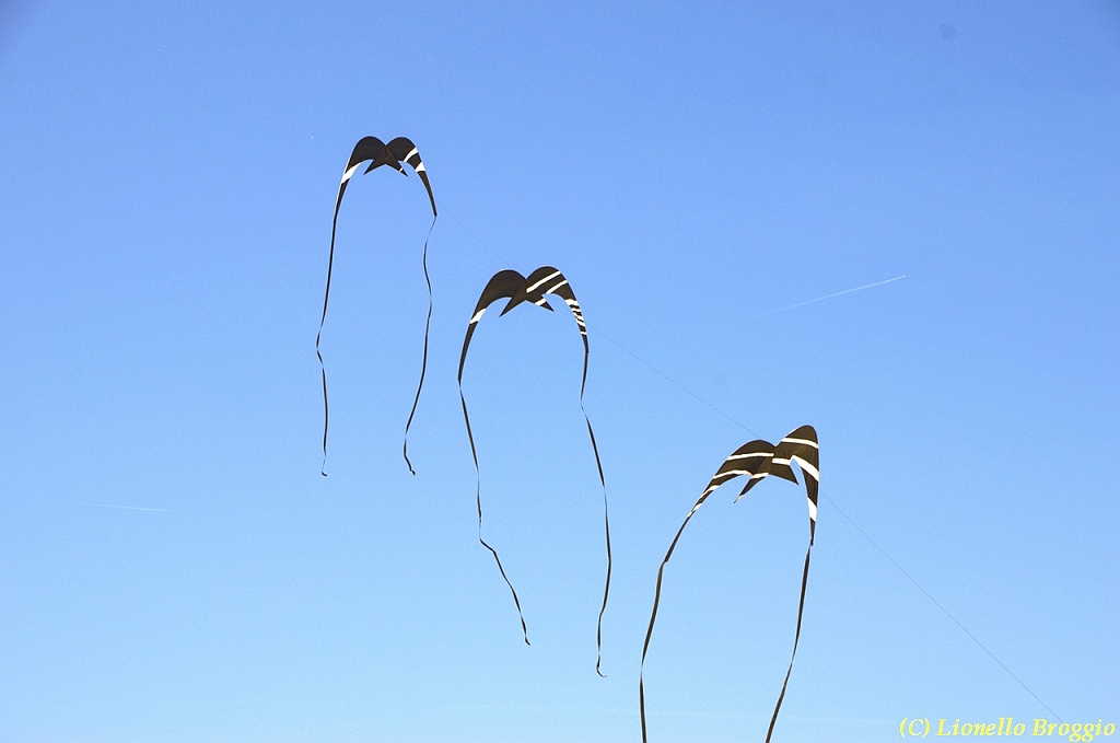 32 FESTIVAL CERVIA 2012 - 026.jpg